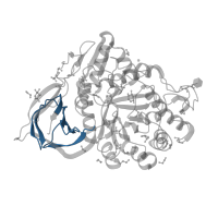 The deposited structure of PDB entry 8ax3 contains 2 copies of Pfam domain PF17189 (Glycosyl hydrolase family 30 beta sandwich domain) in Lysosomal acid glucosylceramidase. Showing 1 copy in chain A.