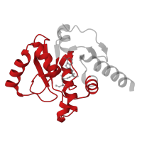 The deposited structure of PDB entry 8azp contains 2 copies of Pfam domain PF01661 (Macro domain) in Papain-like protease nsp3. Showing 1 copy in chain A.