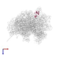 Ribosomal eL28/Mak16 domain-containing protein in PDB entry 8azw, assembly 1, top view.