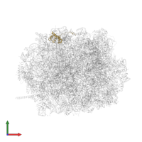 60S ribosomal protein L36 in PDB entry 8azw, assembly 1, front view.