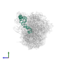 5S ribosomal RNA in PDB entry 8azw, assembly 1, side view.