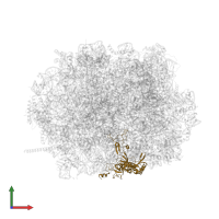 60S ribosomal protein L3 in PDB entry 8azw, assembly 1, front view.