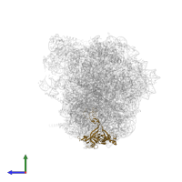 60S ribosomal protein L3 in PDB entry 8azw, assembly 1, side view.