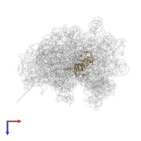 60S ribosomal protein L3 in PDB entry 8azw, assembly 1, top view.