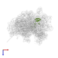 Large ribosomal subunit protein uL15/eL18 domain-containing protein in PDB entry 8azw, assembly 1, top view.