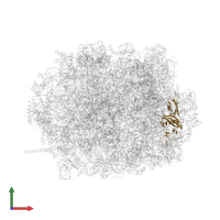 60S ribosomal protein L18a in PDB entry 8azw, assembly 1, front view.