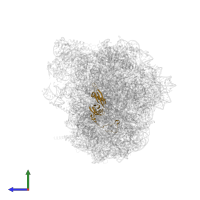 60S ribosomal protein L18a in PDB entry 8azw, assembly 1, side view.