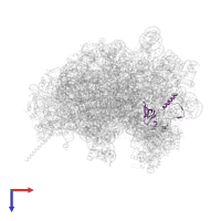 60S ribosomal protein L21-1-like in PDB entry 8azw, assembly 1, top view.