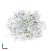 Modified residue OMU in PDB entry 8azw, assembly 1, front view.