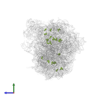 Modified residue OMU in PDB entry 8azw, assembly 1, side view.