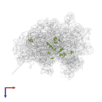 Modified residue OMU in PDB entry 8azw, assembly 1, top view.