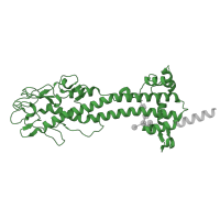 The deposited structure of PDB entry 8b3b contains 3 copies of Pfam domain PF00913 (Trypanosome variant surface glycoprotein (A-type)) in Trypanosome variant surface glycoprotein A-type N-terminal domain-containing protein. Showing 1 copy in chain F [auth E].