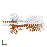 Trypanosome variant surface glycoprotein A-type N-terminal domain-containing protein in PDB entry 8b3b, assembly 2, front view.