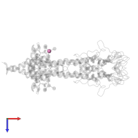 beta-D-mannopyranose in PDB entry 8b3b, assembly 1, top view.