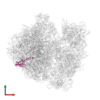 Large ribosomal subunit protein uL22 in PDB entry 8b7y, assembly 1, front view.