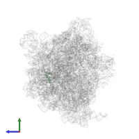 Large ribosomal subunit protein bL34 in PDB entry 8b7y, assembly 1, side view.