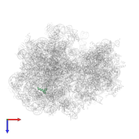 Large ribosomal subunit protein bL34 in PDB entry 8b7y, assembly 1, top view.