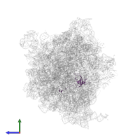 Small ribosomal subunit protein uS12 in PDB entry 8b7y, assembly 1, side view.