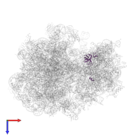 Small ribosomal subunit protein uS12 in PDB entry 8b7y, assembly 1, top view.