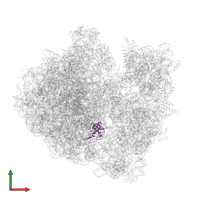 Large ribosomal subunit protein uL14 in PDB entry 8b7y, assembly 1, front view.