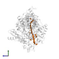 RNA (5'-R(P*UP*UP*UP*UP*UP*UP*UP*UP*UP*UP*U)-3') in PDB entry 8b9g, assembly 1, side view.