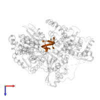 RNA (5'-R(P*UP*UP*UP*UP*UP*UP*UP*UP*UP*UP*U)-3') in PDB entry 8b9g, assembly 1, top view.