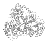 The deposited structure of PDB entry 8b9j contains 2 copies of Pfam domain PF00035 (Double-stranded RNA binding motif) in Dosage compensation regulator mle. Showing 2 copies in chain A (this domain is out of the observed residue ranges!).
