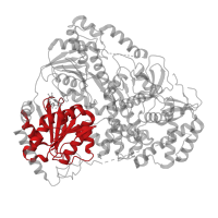 The deposited structure of PDB entry 8b9j contains 1 copy of Pfam domain PF00270 (DEAD/DEAH box helicase) in Dosage compensation regulator mle. Showing 1 copy in chain A.