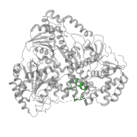 The deposited structure of PDB entry 8b9j contains 1 copy of Pfam domain PF04408 (Helicase associated domain (HA2), winged-helix) in Dosage compensation regulator mle. Showing 1 copy in chain A.