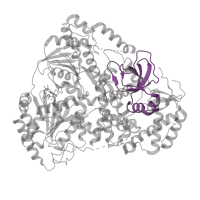 The deposited structure of PDB entry 8b9j contains 1 copy of Pfam domain PF07717 (Oligonucleotide/oligosaccharide-binding (OB)-fold) in Dosage compensation regulator mle. Showing 1 copy in chain A.