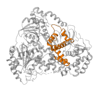 The deposited structure of PDB entry 8b9j contains 1 copy of Pfam domain PF21010 (Helicase associated domain (HA2), ratchet-like) in Dosage compensation regulator mle. Showing 1 copy in chain A.