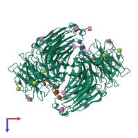 Homo dimeric assembly 1 of PDB entry 8bes coloured by chemically distinct molecules, top view.