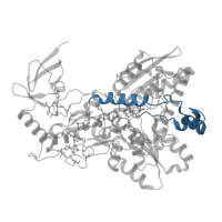 The deposited structure of PDB entry 8bew contains 2 copies of Pfam domain PF02256 (Iron hydrogenase small subunit) in Electron bifurcating hydrogenase subunit HydA1. Showing 1 copy in chain A.