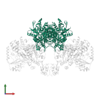 Electron bifurcating hydrogenase subunit HydA1 in PDB entry 8bew, assembly 1, front view.