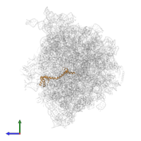 Large ribosomal subunit protein bL20 in PDB entry 8bf7, assembly 1, side view.