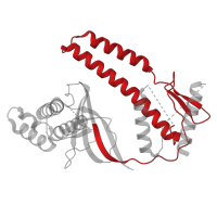 The deposited structure of PDB entry 8bf8 contains 1 copy of Pfam domain PF01385 (Probable transposase) in RNA-guided DNA endonuclease TnpB. Showing 1 copy in chain A.