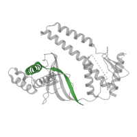 The deposited structure of PDB entry 8bf8 contains 1 copy of Pfam domain PF12323 (Helix-turn-helix domain) in RNA-guided DNA endonuclease TnpB. Showing 1 copy in chain A.