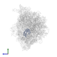 Small ribosomal subunit protein uS3 in PDB entry 8bgh, assembly 1, side view.