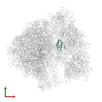 Small ribosomal subunit protein bS6 in PDB entry 8bgh, assembly 1, front view.