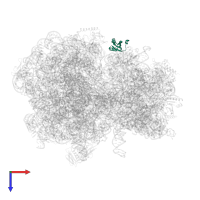 Small ribosomal subunit protein bS6 in PDB entry 8bgh, assembly 1, top view.