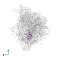 Acylated P-site tRNA(fMet) in PDB entry 8bgh, assembly 1, side view.