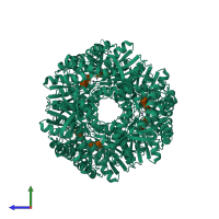 Homo hexameric assembly 2 of PDB entry 8bgo coloured by chemically distinct molecules, side view.