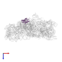 Small ribosomal subunit protein uS8 in PDB entry 8bh6, assembly 1, top view.