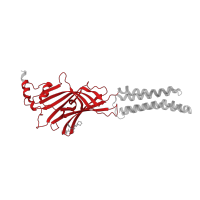 The deposited structure of PDB entry 8bhq contains 5 copies of Pfam domain PF02931 (Neurotransmitter-gated ion-channel ligand binding domain) in Gamma-aminobutyric acid receptor subunit alpha-5. Showing 1 copy in chain A.