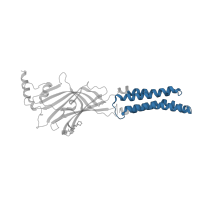 The deposited structure of PDB entry 8bhq contains 5 copies of Pfam domain PF02932 (Neurotransmitter-gated ion-channel transmembrane region) in Gamma-aminobutyric acid receptor subunit alpha-5. Showing 1 copy in chain A.
