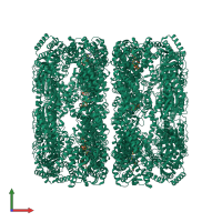 Homo 14-meric assembly 1 of PDB entry 8ble coloured by chemically distinct molecules, front view.