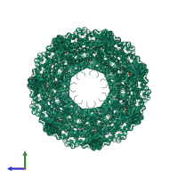 Homo 14-meric assembly 1 of PDB entry 8ble coloured by chemically distinct molecules, side view.