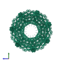 Chaperonin GroEL in PDB entry 8ble, assembly 1, side view.