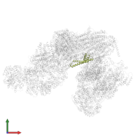 Outer envelope pore protein 16-3, chloroplastic/mitochondrial in PDB entry 8bpx, assembly 1, front view.