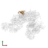 Gamma carbonic anhydrase 1, mitochondrial in PDB entry 8bpx, assembly 1, front view.